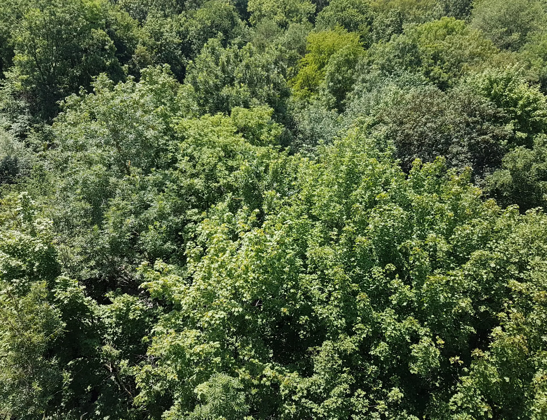 20180615_131317