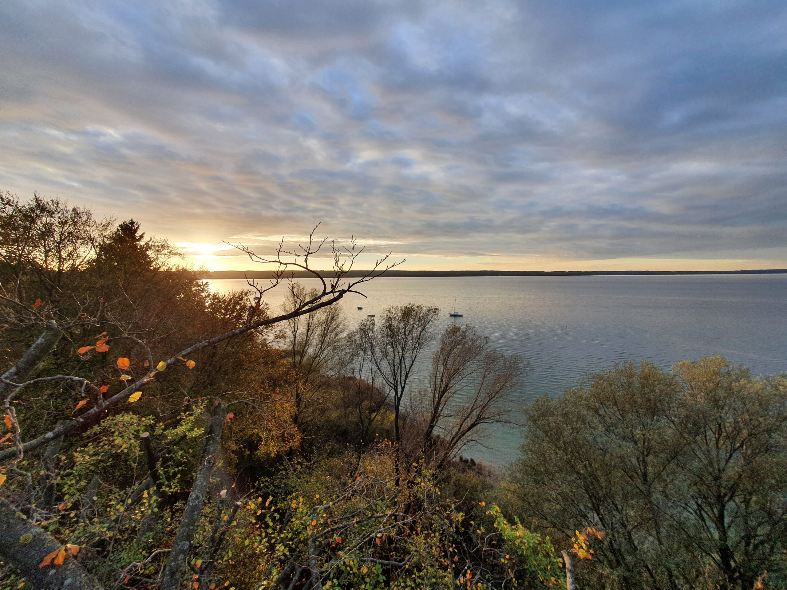 Ausblick aus Baumkrone auf Ammersee
