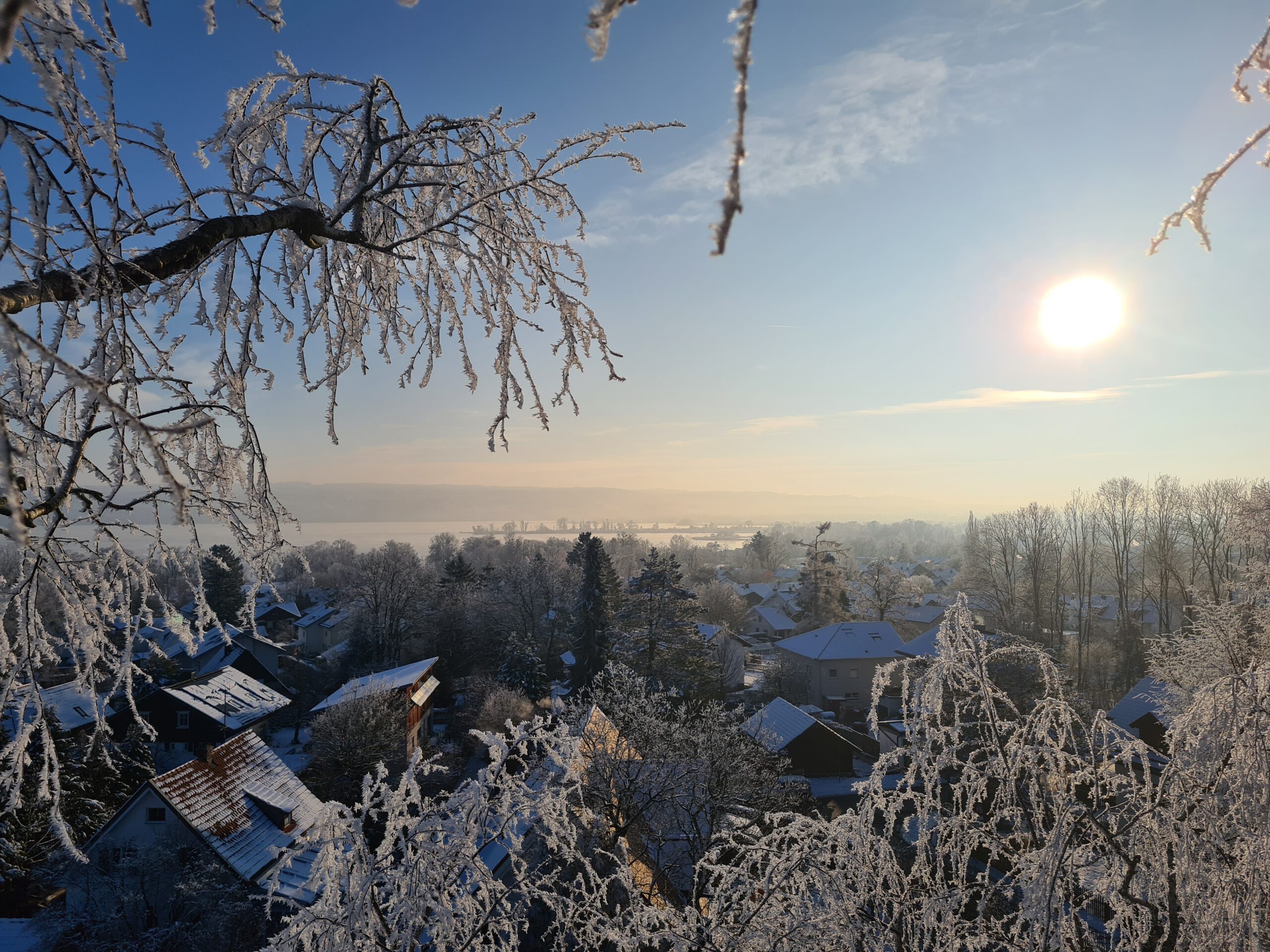 Ausblick aus Baumkrone im Winter