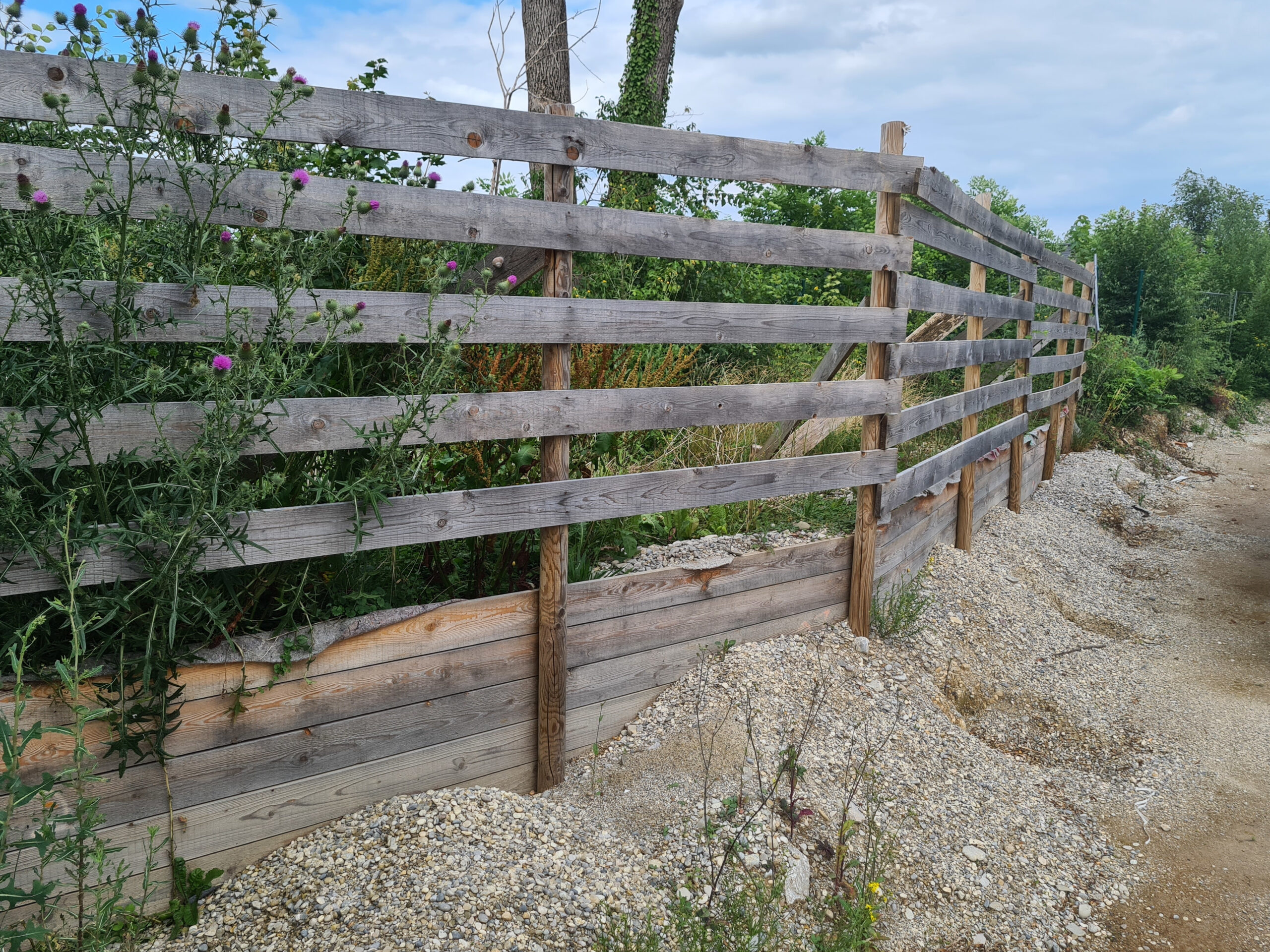 Baumschutzzaun auf Baustelle