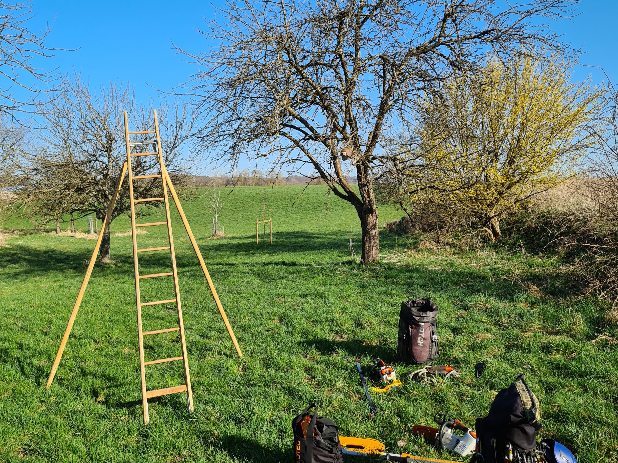 Werkzeug für die Obstbaumpflege